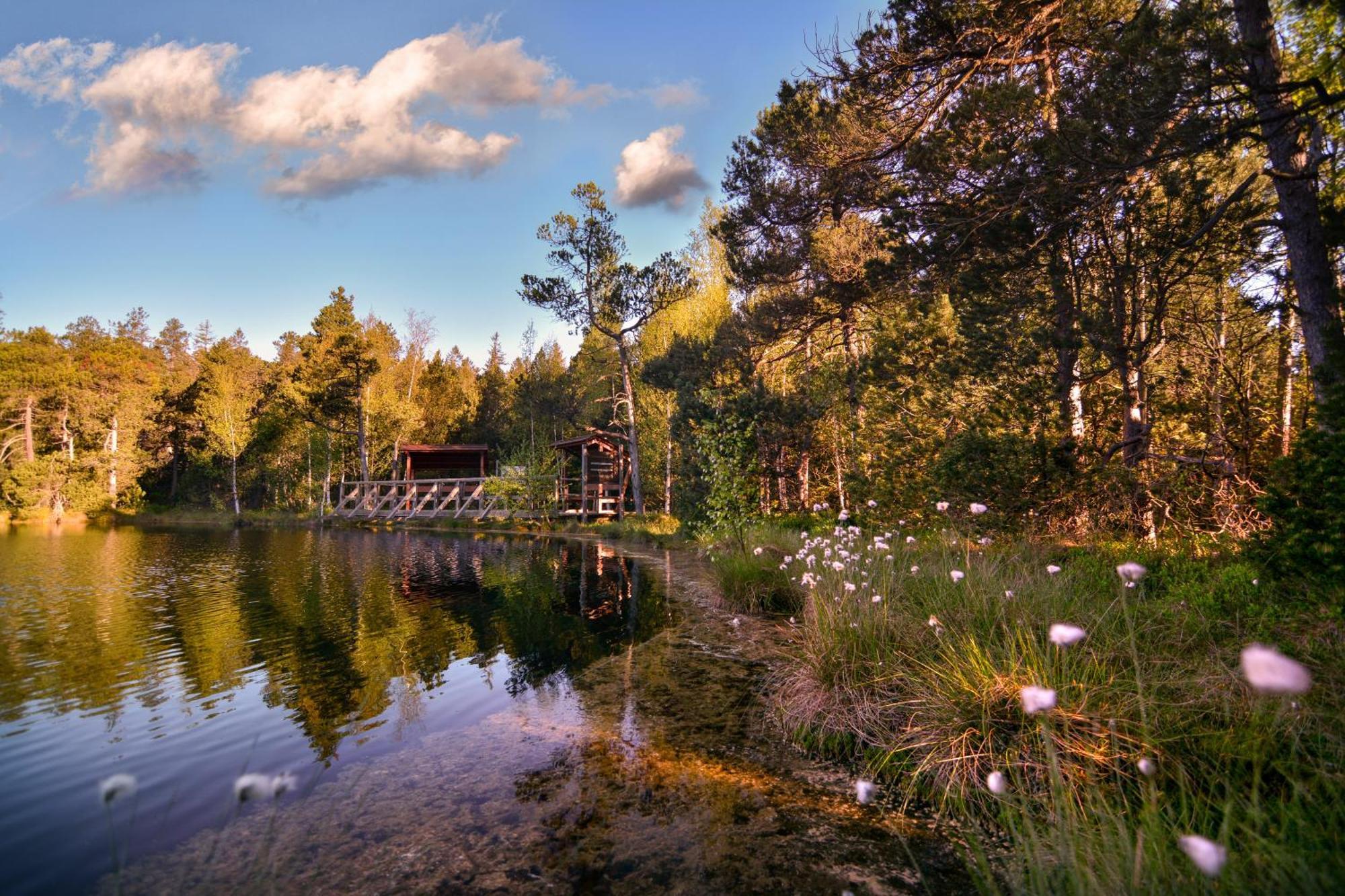 Hotel Krizovy Vrch Jeseník Esterno foto